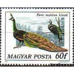 Hungary 1977 Green Peafowl (Pavo muticus)-Stamps-Hungary-Mint-StampPhenom