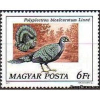 Hungary 1977 Grey Peacock-pheasant (Polyplectron bicalcaratum)-Stamps-Hungary-Mint-StampPhenom