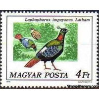 Hungary 1977 Himalayan Monal (Lophophorus impejanus)-Stamps-Hungary-Mint-StampPhenom