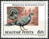 Hungary 1977 Peafowl and Pheasants-Stamps-Hungary-StampPhenom