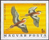 Hungary 1977 Purple Heron (Ardea purpurea)-Stamps-Hungary-Mint-StampPhenom