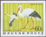 Hungary 1977 White Stork (Ciconia ciconia)-Stamps-Hungary-Mint-StampPhenom