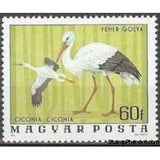 Hungary 1977 White Stork (Ciconia ciconia)-Stamps-Hungary-Mint-StampPhenom