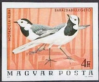 Hungary 1977 White Wagtail (Motacilla alba)-Stamps-Hungary-Mint-StampPhenom