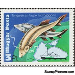 Hungary 1979 Beluga Sturgeon (Huso huso)-Stamps-Hungary-Mint-StampPhenom