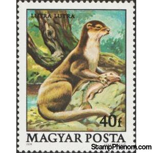 Hungary 1979 Eurasian Otter (Lutra lutra)-Stamps-Hungary-Mint-StampPhenom