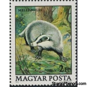 Hungary 1979 European Badger (Meles meles)-Stamps-Hungary-Mint-StampPhenom