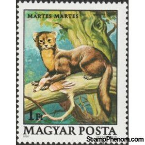 Hungary 1979 Pine Marten (Martes martes)-Stamps-Hungary-Mint-StampPhenom