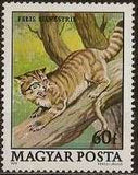 Hungary 1979 Protected Animals-Stamps-Hungary-StampPhenom