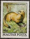 Hungary 1979 Protected Animals-Stamps-Hungary-StampPhenom