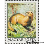 Hungary 1979 Steppe Polecat (Mustela eversmanni)-Stamps-Hungary-Mint-StampPhenom