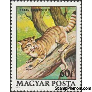 Hungary 1979 Wildcat (Felis silvestris)-Stamps-Hungary-Mint-StampPhenom