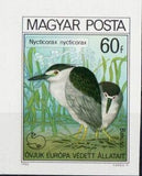 Hungary 1980 Black-crowned Night Heron (Nycticorax nycticorax)-Stamps-Hungary-Mint-StampPhenom