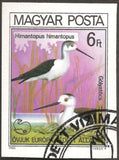 Hungary 1980 Black-winged Stilt (Himantopus himantopus)-Stamps-Hungary-Mint-StampPhenom