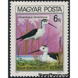 Hungary 1980 Black-winged Stilt (Himantopus himantopus)-Stamps-Hungary-Mint-StampPhenom