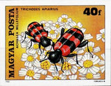 Hungary 1980 European Beewolf (Trichodes apiarius), Common Yarrow (Achill-Stamps-Hungary-Mint-StampPhenom