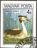Hungary 1980 Great Crested Grebe (Podiceps cristatus)-Stamps-Hungary-Mint-StampPhenom