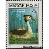 Hungary 1980 Great Crested Grebe (Podiceps cristatus)-Stamps-Hungary-Mint-StampPhenom