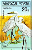 Hungary 1980 Great White Heron (Egretta alba)-Stamps-Hungary-Mint-StampPhenom