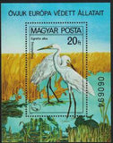 Hungary 1980 Great White Heron (Egretta alba)-Stamps-Hungary-Mint-StampPhenom