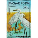 Hungary 1980 Great White Heron (Egretta alba)-Stamps-Hungary-Mint-StampPhenom