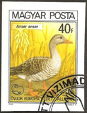 Hungary 1980 Greylag Goose (Anser anser)-Stamps-Hungary-Mint-StampPhenom