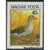 Hungary 1980 Greylag Goose (Anser anser)-Stamps-Hungary-Mint-StampPhenom