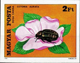 Hungary 1980 Rose Chafer (Cetonia aurata), Dog Rose (Rosa canina)-Stamps-Hungary-Mint-StampPhenom