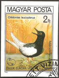 Hungary 1980 White-winged Tern (Chlidonias leucopterus)-Stamps-Hungary-Mint-StampPhenom