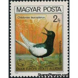Hungary 1980 White-winged Tern (Chlidonias leucopterus)-Stamps-Hungary-Mint-StampPhenom