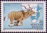Hungary 1981 Airmails - Kalman Kittenberger-Stamps-Hungary-StampPhenom