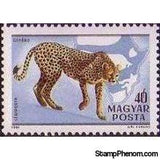 Hungary 1981 Airmails - Kalman Kittenberger