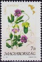 Hungary 1991 Flowers of the Americas-Stamps-Hungary-StampPhenom