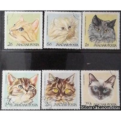 Hungary Cats, 6 stamps-Stamps-Hungary-StampPhenom