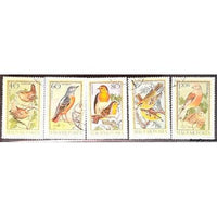 Hungary Lot 3 of Birds, 5 stamps-Stamps-Hungary-StampPhenom