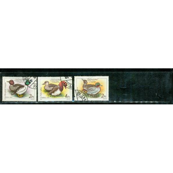 Hungary Ducks , 3 stamps