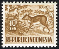 Indonesia 1956 Lesser Malay Chevrotain (Kantjil)-Stamps-Indonesia-Mint-StampPhenom