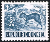 Indonesia 1956 Lesser Malay Chevrotain (Kantjil)-Stamps-Indonesia-Mint-StampPhenom