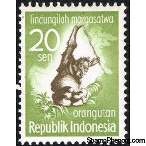 Indonesia 1959 Bornean Orangutan (Pongo pygmaeus)-Stamps-Indonesia-Mint-StampPhenom