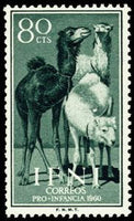 Infi 1960 Dromedary (Camelus dromedarius)-Stamps-Ifni-Mint-StampPhenom