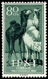 Infi 1960 Dromedary (Camelus dromedarius)-Stamps-Ifni-Mint-StampPhenom