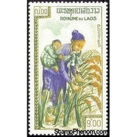 Laos 1963 Harvesting Rice-Stamps-Laos-Mint-StampPhenom