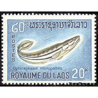 Laos 1967 Giant Snakehead (Ophicephalus micropeltes)-Stamps-Laos-Mint-StampPhenom