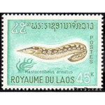 Laos 1967 Zig-zag Eel (Mastacembelus armatus)-Stamps-Laos-Mint-StampPhenom