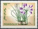 Mongolia 1966 Flowers-Stamps-Mongolia-StampPhenom