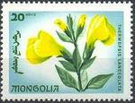 Mongolia 1966 Flowers-Stamps-Mongolia-StampPhenom