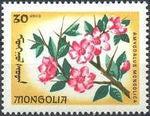 Mongolia 1966 Flowers-Stamps-Mongolia-StampPhenom