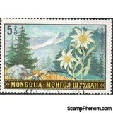 Mongolia 1969 Local Flowers-Stamps-Mongolia-StampPhenom