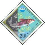 Mongolia 1974 Wildlife Conservation-Stamps-Mongolia-StampPhenom