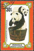 Mongolia 1977 Giant Pandas-Stamps-Mongolia-StampPhenom